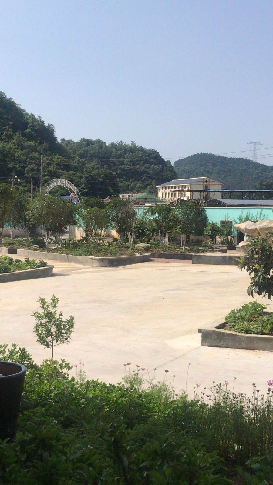 公司环境